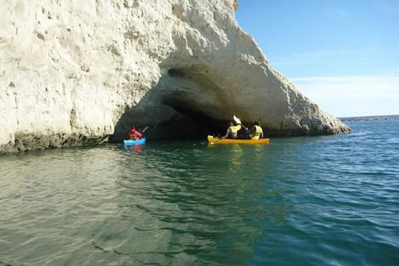 Kayak & Lobos Marinos