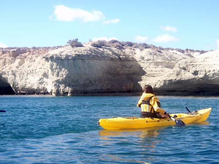 Kayak & Lobos Marinos