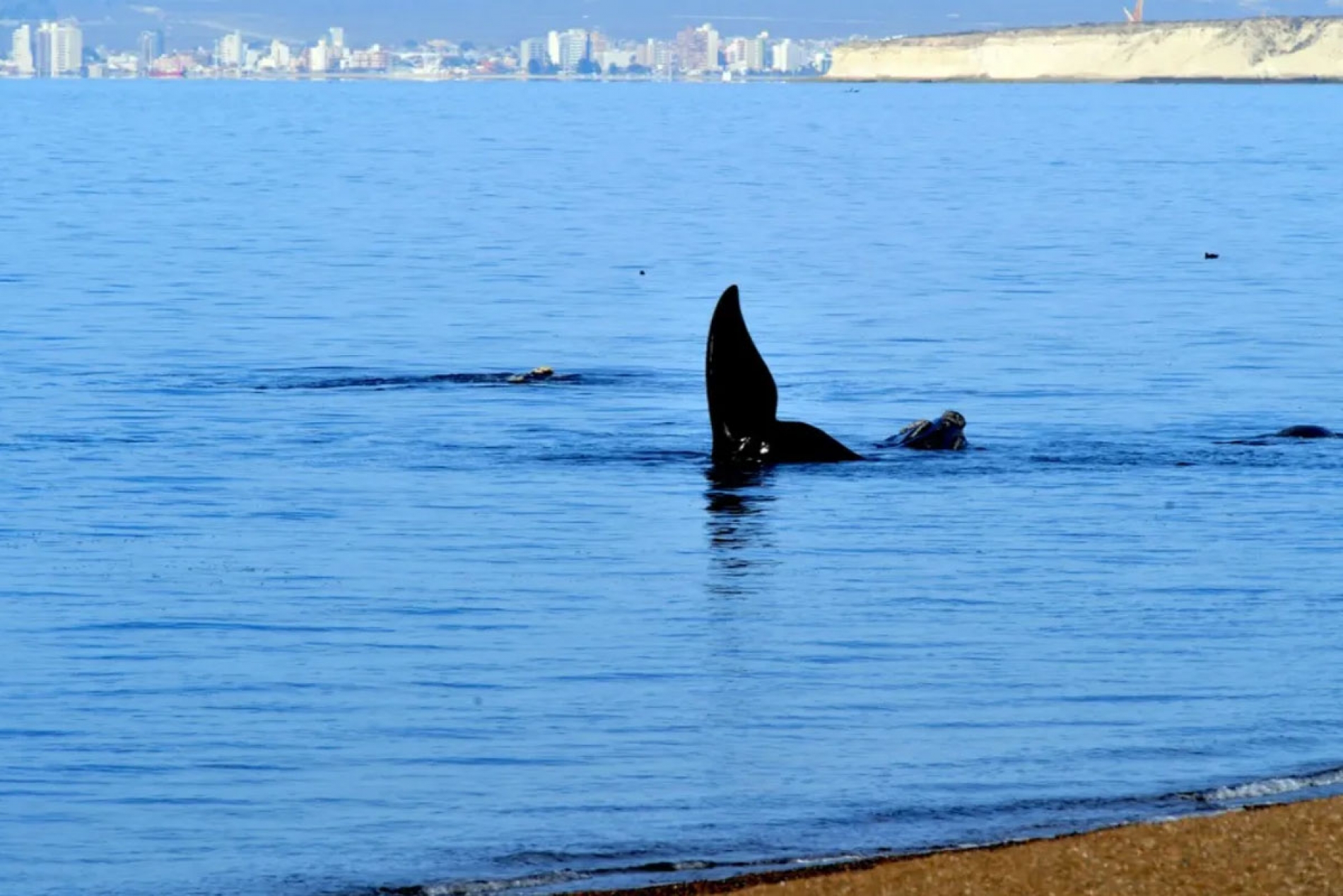 Playa El Doradillo