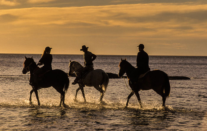 Cabalgata